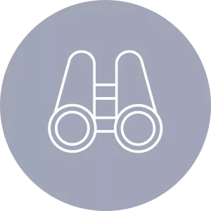 Binoculars icon demonstrating insight on a grey background